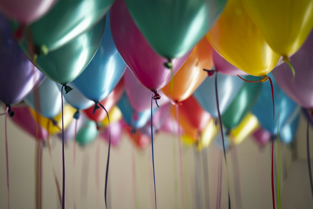 Party lights and celebration at festival
